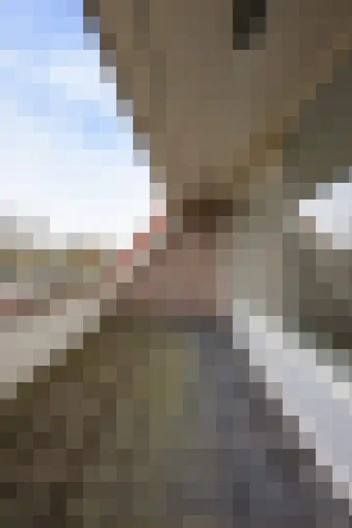 Beethovenlaan 8 A Schagen thumbnail 24