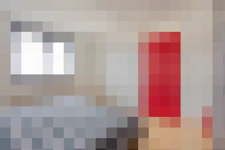 Beethovenlaan 83 Goes thumbnail 15