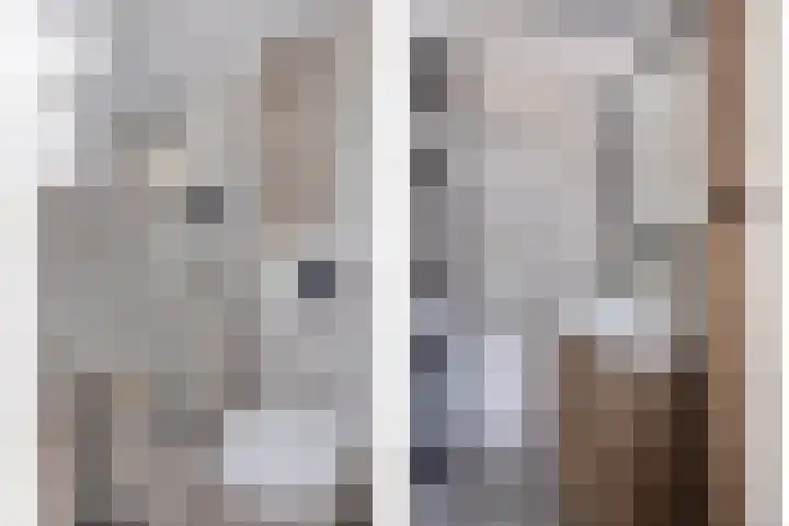 Beethovenlaan 83 Goes thumbnail 18