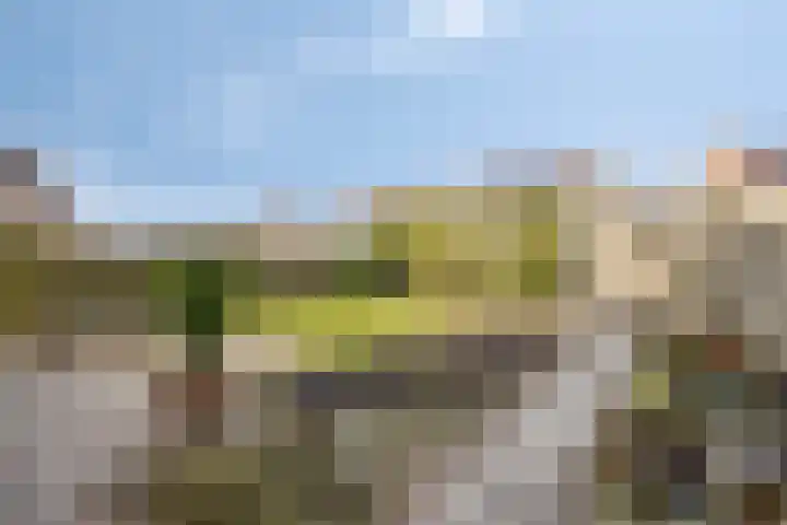 Beethovenlaan 83 Goes thumbnail 26