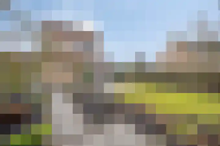Beethovenlaan 83 Goes thumbnail 27
