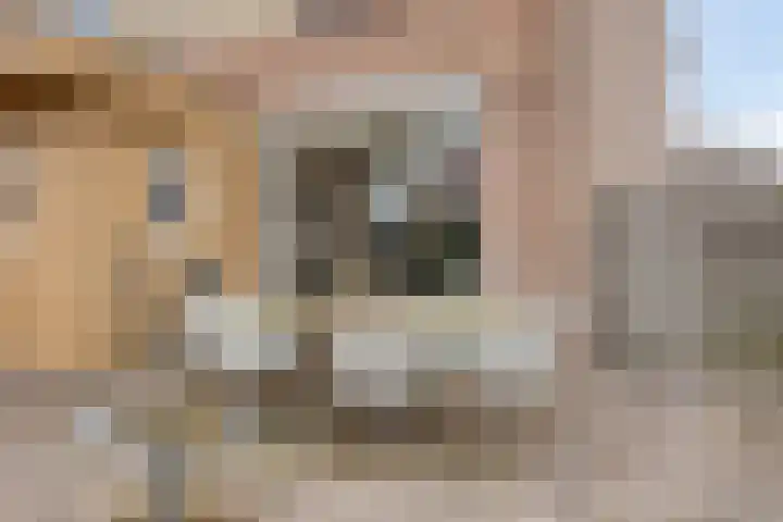Beethovenlaan 83 Goes thumbnail 29