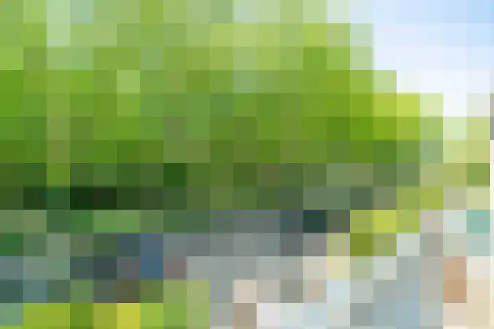 Beethovenlaan 92 Leiden thumbnail 43