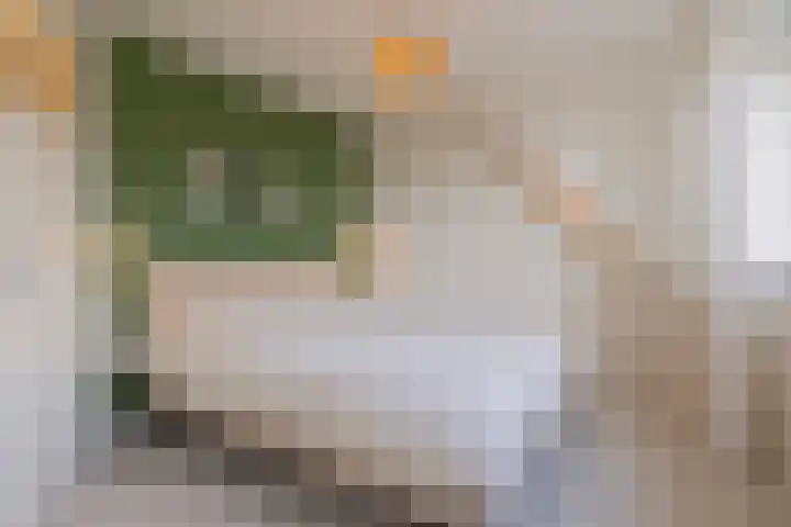 Beethovenlaan 92 Leiden thumbnail 5
