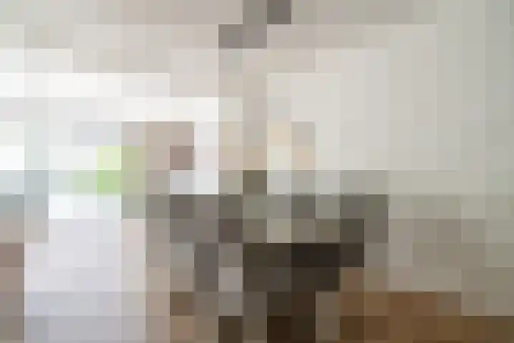 Beethovenlaan 92 Leiden thumbnail 8