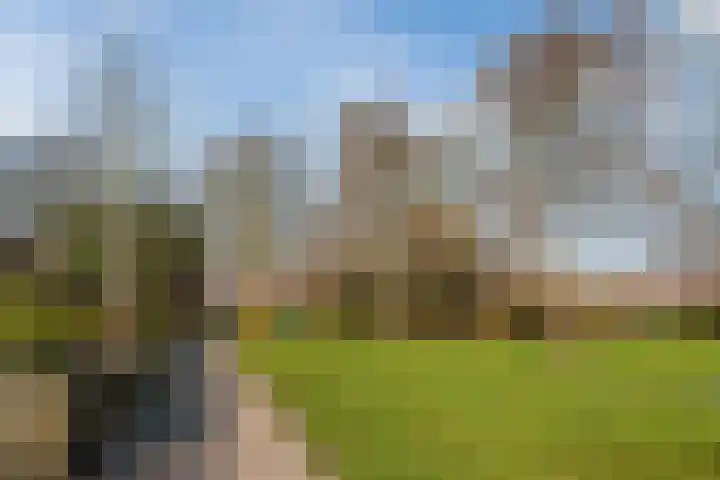 Beethovenplaats 54 Assen thumbnail 36