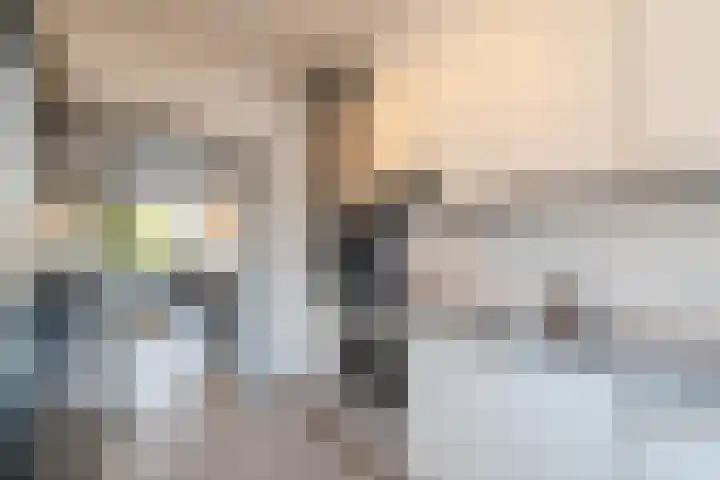 Beethovenplaats 54 Assen thumbnail 8