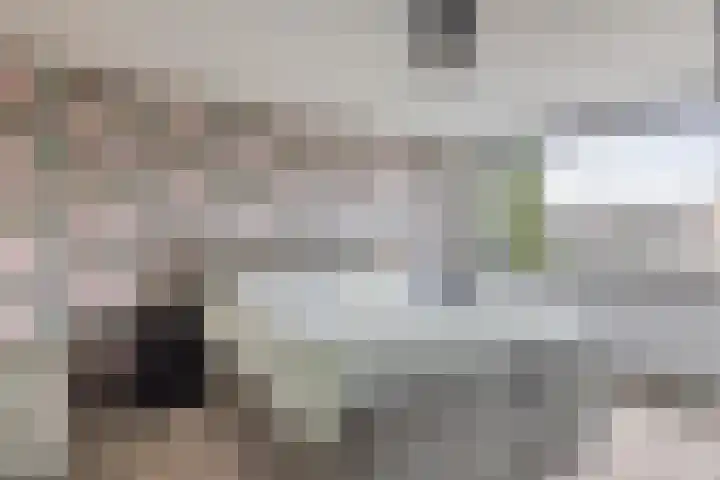 Beethovenring 70 Boxtel thumbnail 6