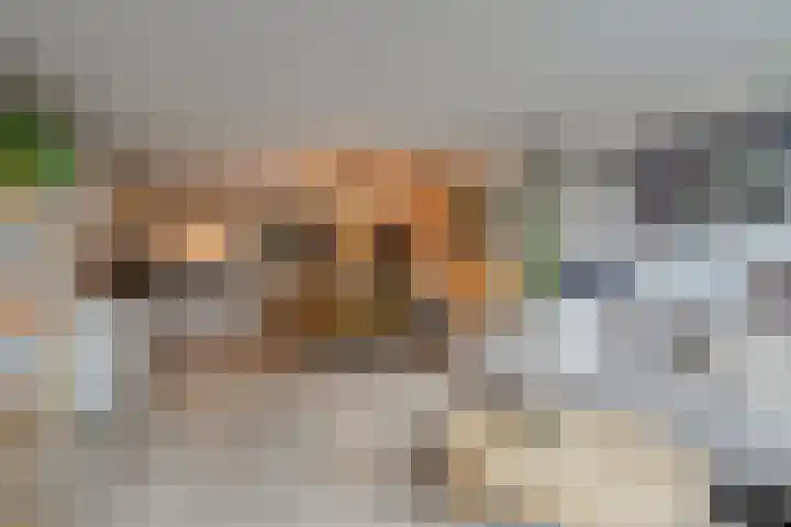 Beethovenrode 10 Zoetermeer thumbnail 11