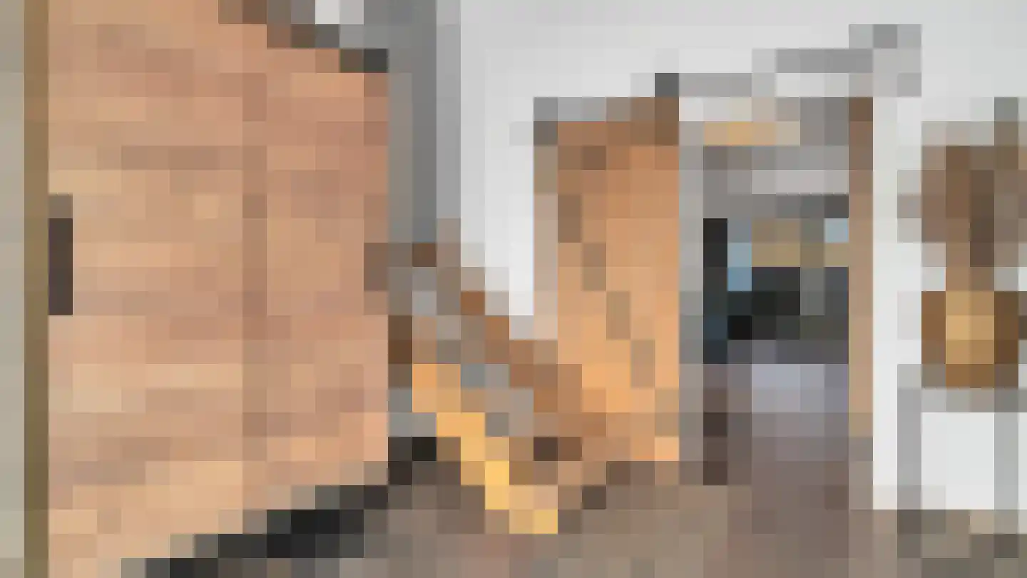 Beethovenrode 10 Zoetermeer thumbnail 12