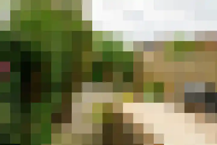 Beethovenrode 10 Zoetermeer thumbnail 15
