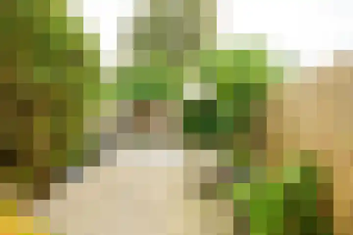 Beethovenrode 10 Zoetermeer thumbnail 16