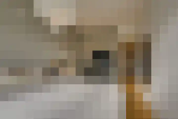 Beethovenrode 10 Zoetermeer thumbnail 30