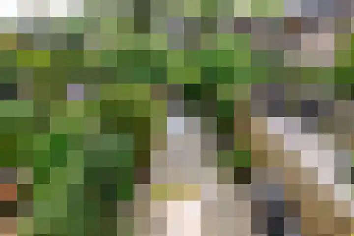 Beethovenrode 10 Zoetermeer thumbnail 34