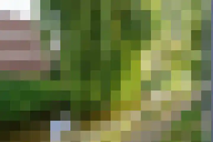 Beethovenrode 10 Zoetermeer thumbnail 38
