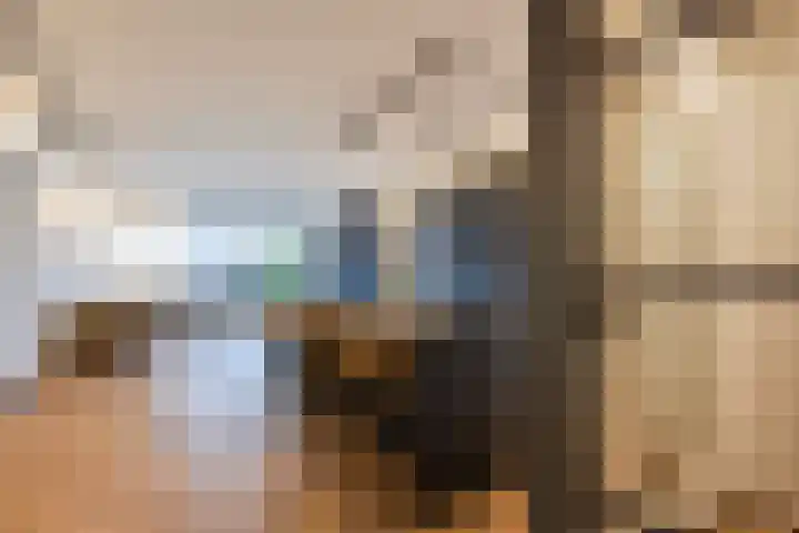 Beethovenrode 6 Zoetermeer thumbnail 10