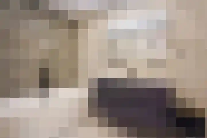 Beethovenrode 6 Zoetermeer thumbnail 30