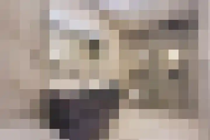 Beethovenrode 6 Zoetermeer thumbnail 31