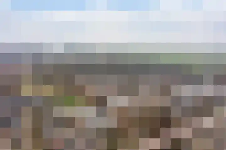 Beethovenrode 6 Zoetermeer thumbnail 34