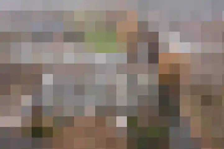 Beethovenrode 6 Zoetermeer thumbnail 38