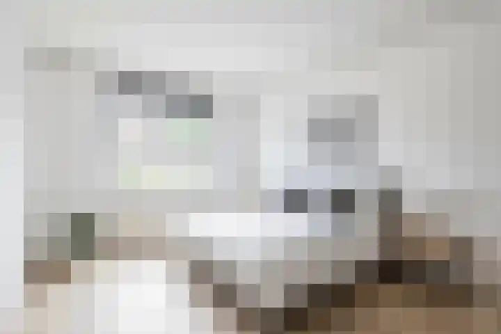 Beethovenrode 6 Zoetermeer thumbnail 45