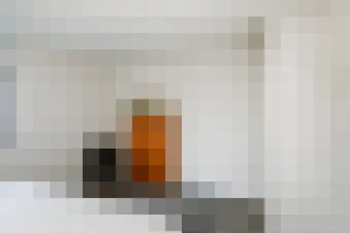 Beethovensingel 143 Alkmaar thumbnail 27
