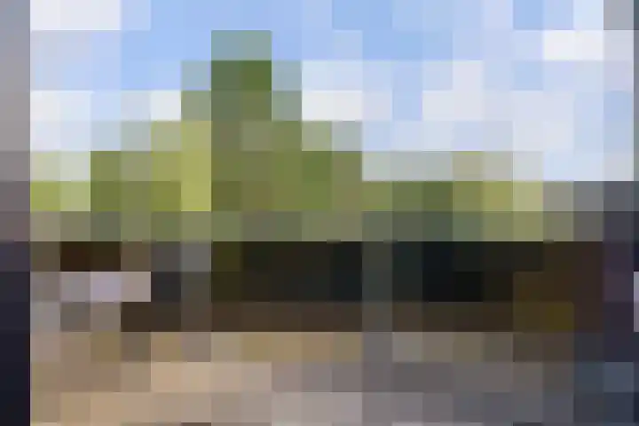 Beethovensingel 143 Alkmaar thumbnail 44