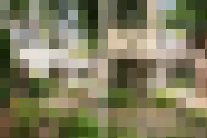 Beethovensingel 143 Alkmaar thumbnail 50