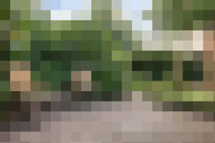 Beethovensingel 143 Alkmaar thumbnail 53