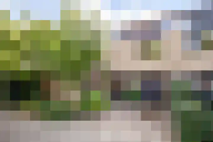 Beethovensingel 143 Alkmaar thumbnail 7