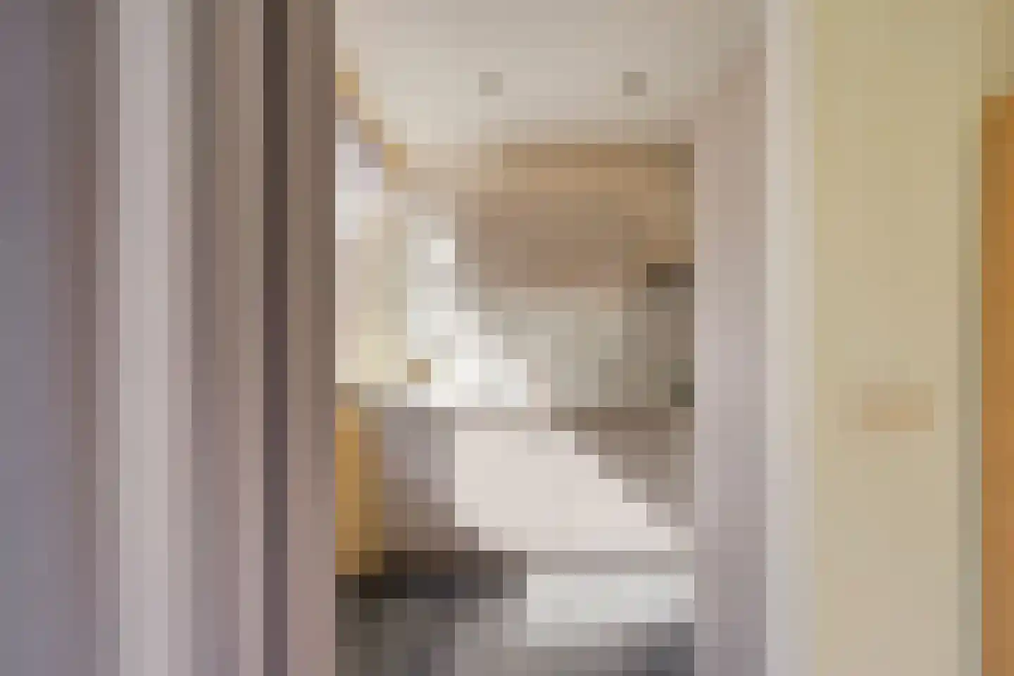 Beethovenstraat 77 Heemskerk thumbnail 6