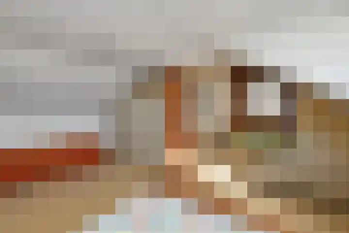 Beethovenstraat 9 Elst thumbnail 35