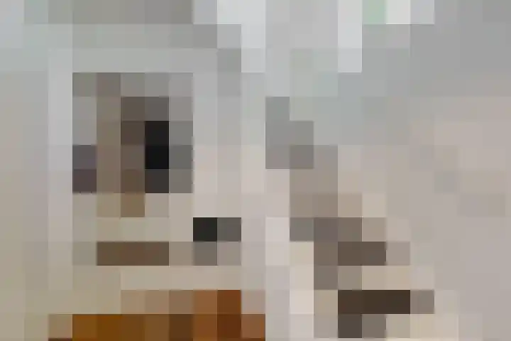 Beets 78 Beets thumbnail 14