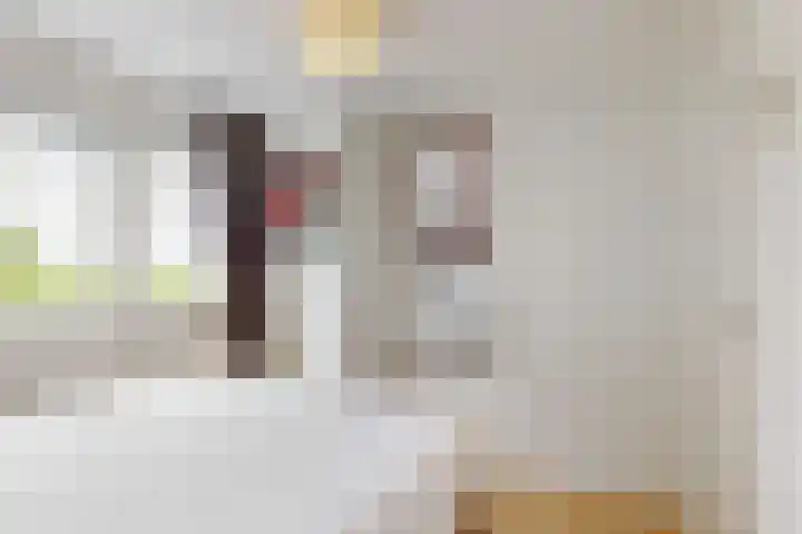 Beets 78 Beets thumbnail 17