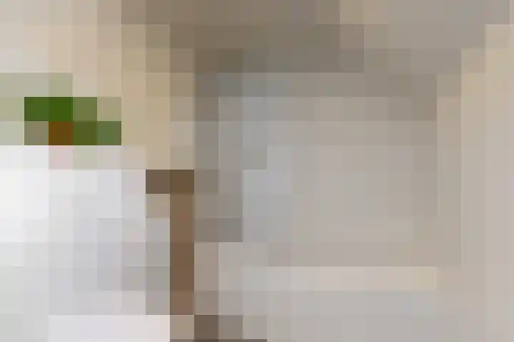 Beets 78 Beets thumbnail 18
