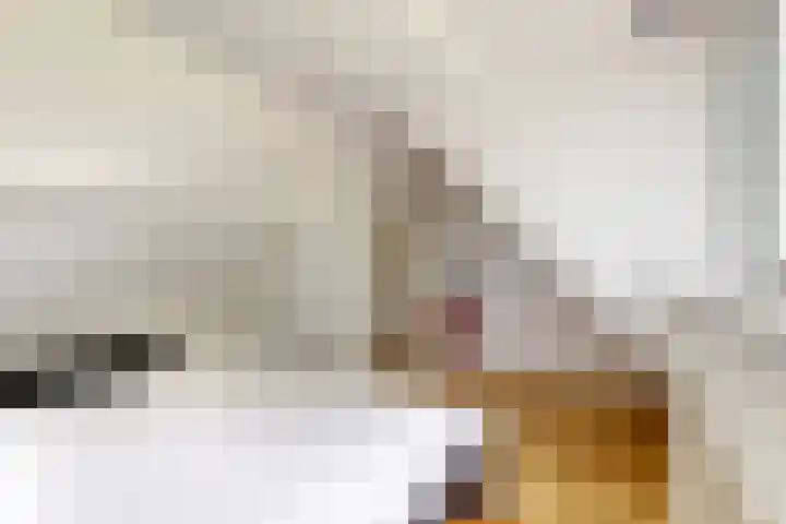 Beets 78 Beets thumbnail 25