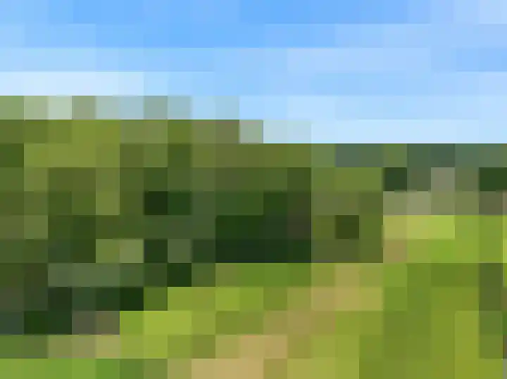 Beets 78 Beets thumbnail 27