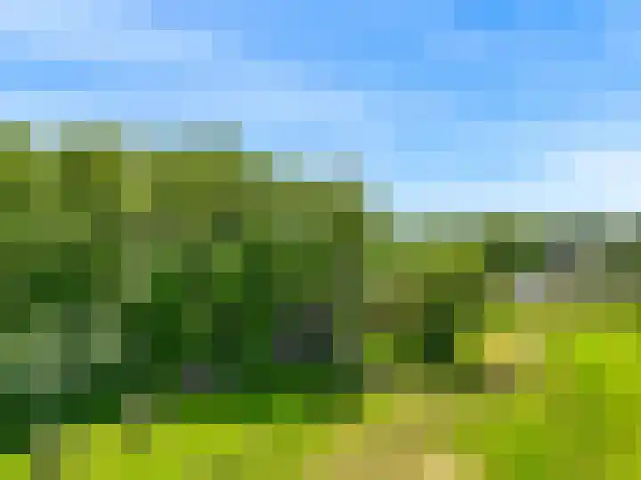Beets 78 Beets thumbnail 28