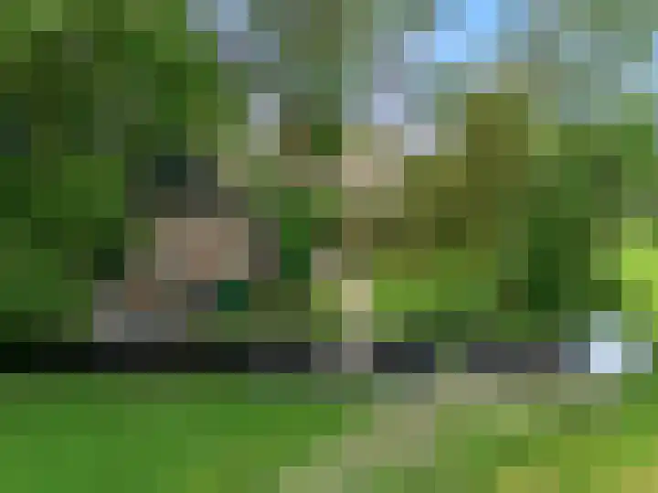 Beets 78 Beets thumbnail 29