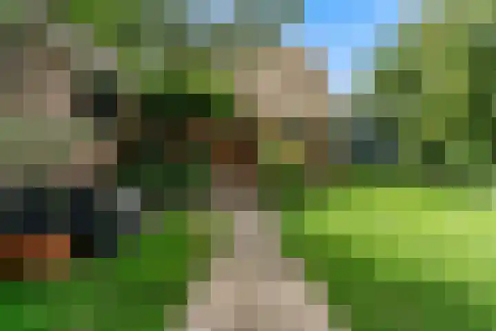 Beets 78 Beets thumbnail 30