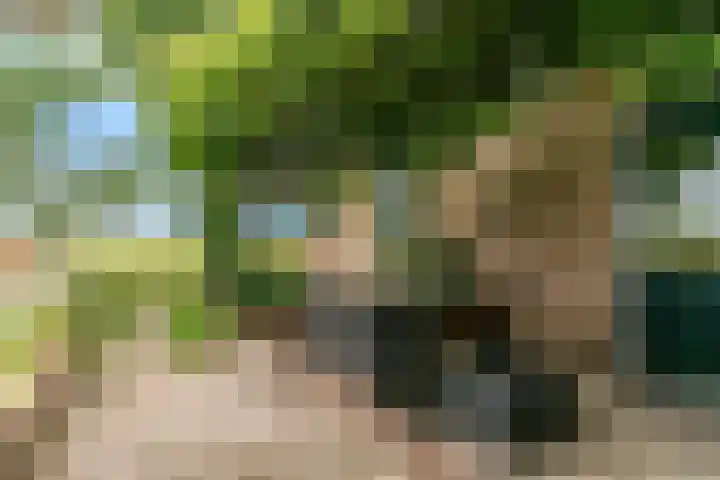 Beets 78 Beets thumbnail 32
