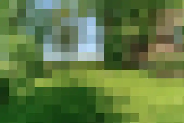 Beets 78 Beets thumbnail 34