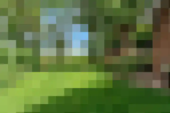 Beets 78 Beets thumbnail 35