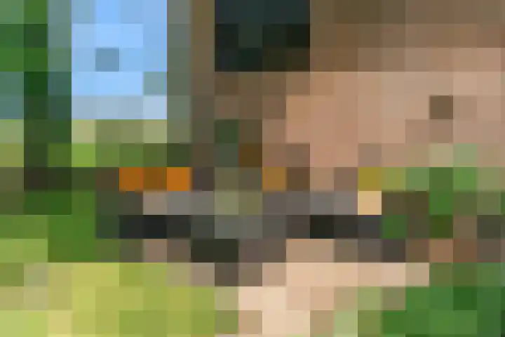 Beets 78 Beets thumbnail 36