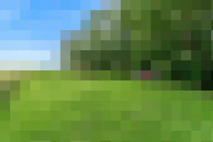Beets 78 Beets thumbnail 38