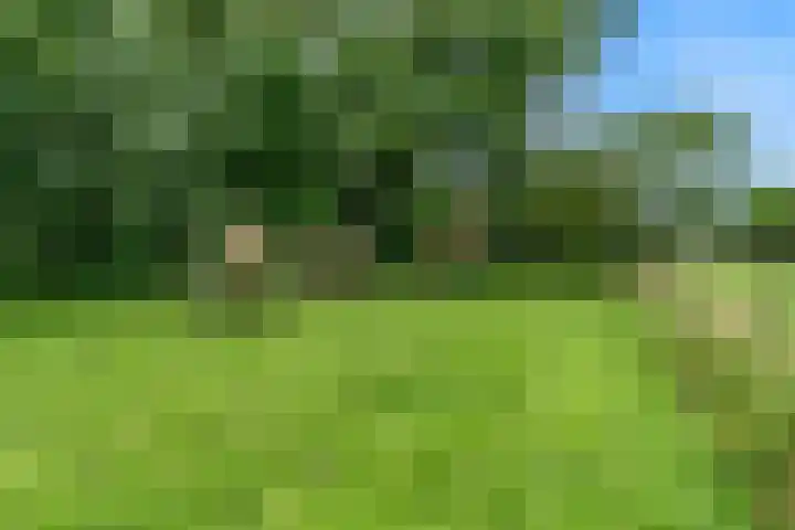 Beets 78 Beets thumbnail 39