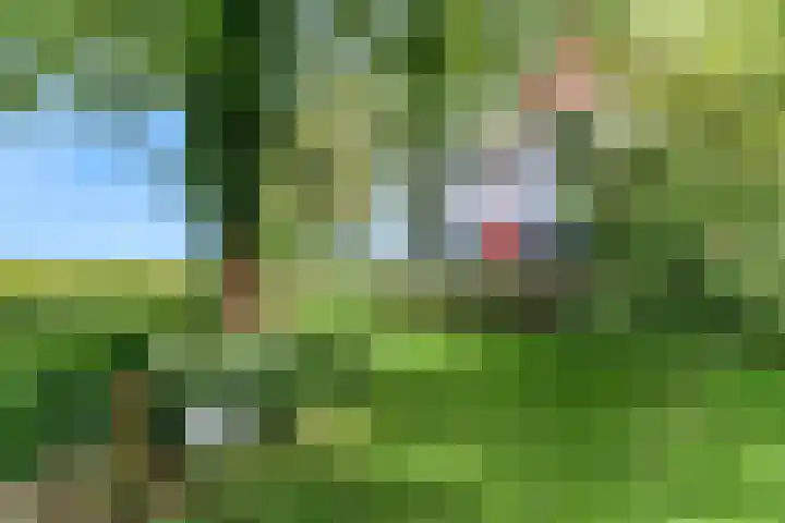 Beets 78 Beets thumbnail 41