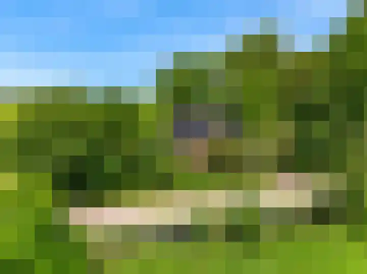 Beets 78 Beets thumbnail 42
