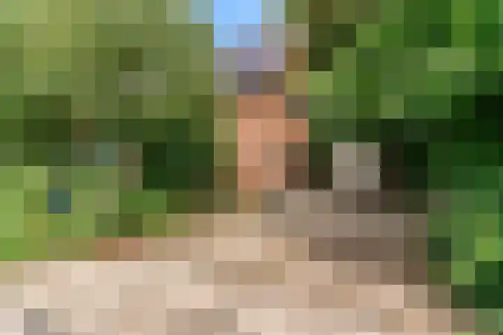 Beets 78 Beets thumbnail 43