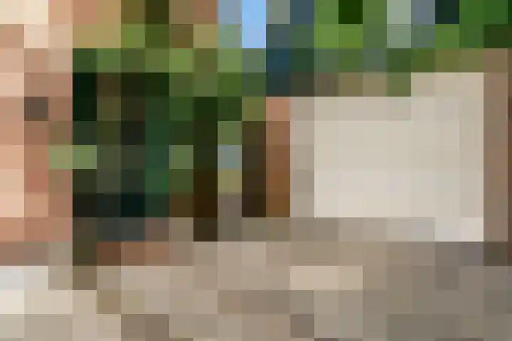 Beets 78 Beets thumbnail 44